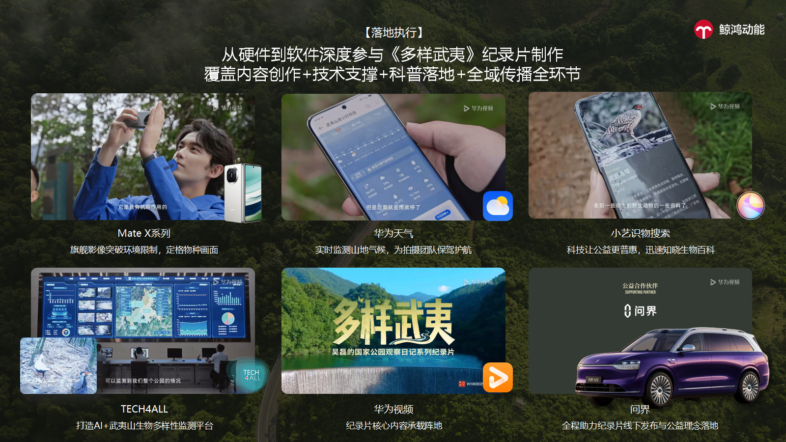 1.	内容共创：从硬件到软件，深度参与《多样武夷》全环节