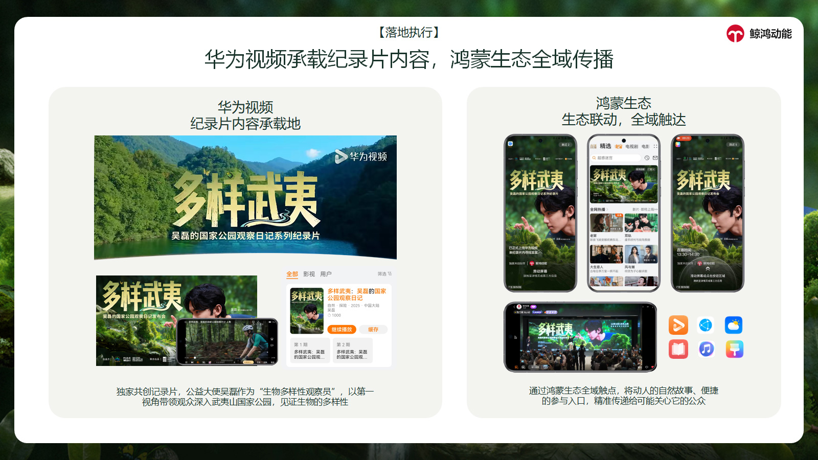 3.	全域传播：鸿蒙生态全触点，让公益内容无处不在