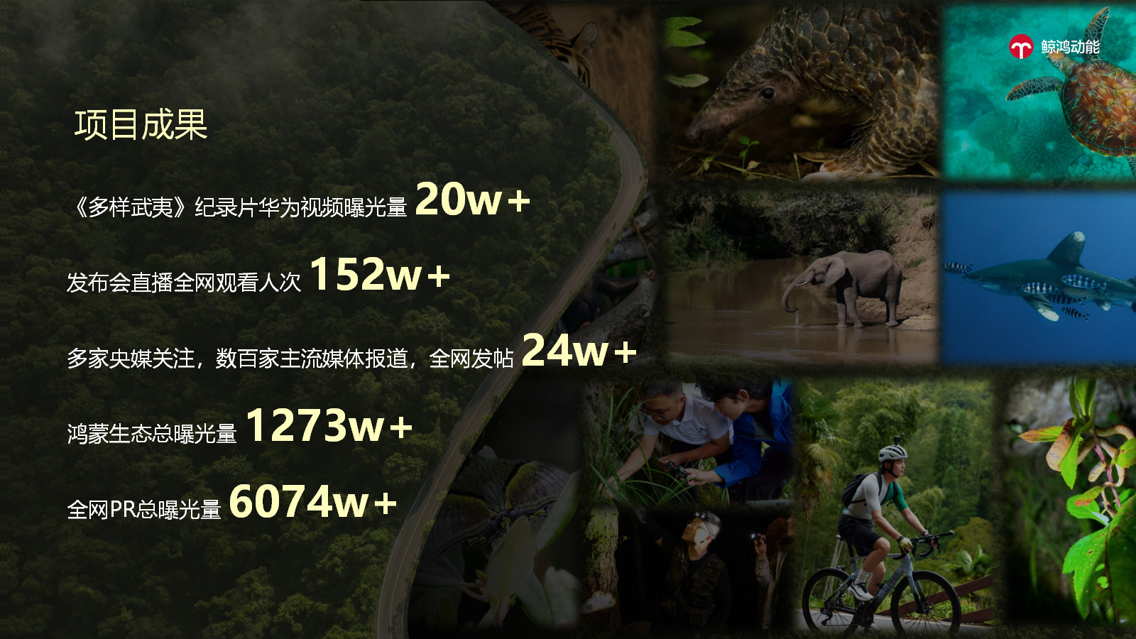 项目成果：全维度数据验证，公益与品牌双向共赢