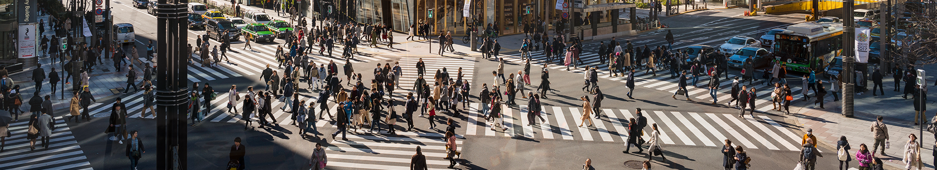 鲸鸿动能鲸鸿志 banner