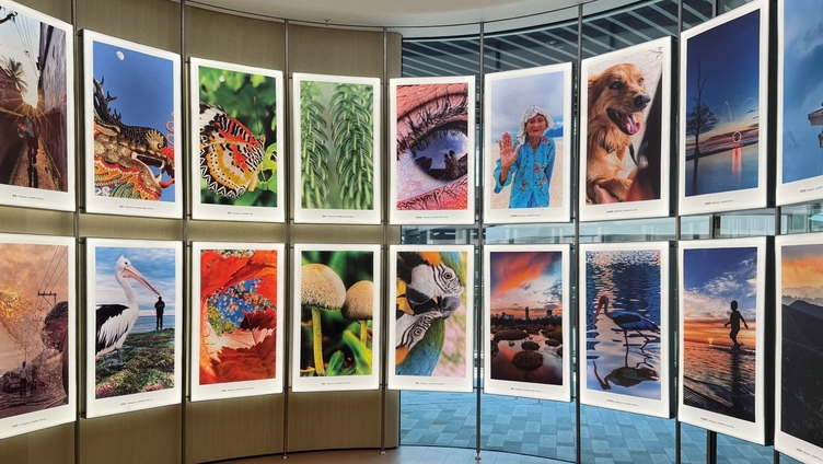 鲸鸿动能文旅解决方案